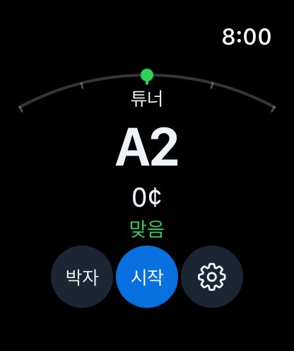 Apple Watch 튜너 — 음이 맞음