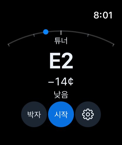 Apple Watch 튜너 — 음이 낮음